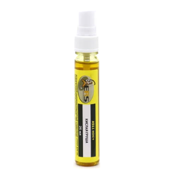 Спрей ERS AS11 mini+ Кислая груша 25ml