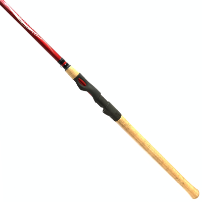 Спиннинг штекерный Shimano Catana EX 300XH 50-100гр